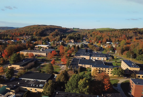 Academic quad from above. Many buildings and trees.