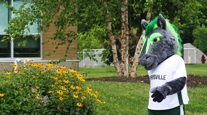 Mo the Mustang walks across campus